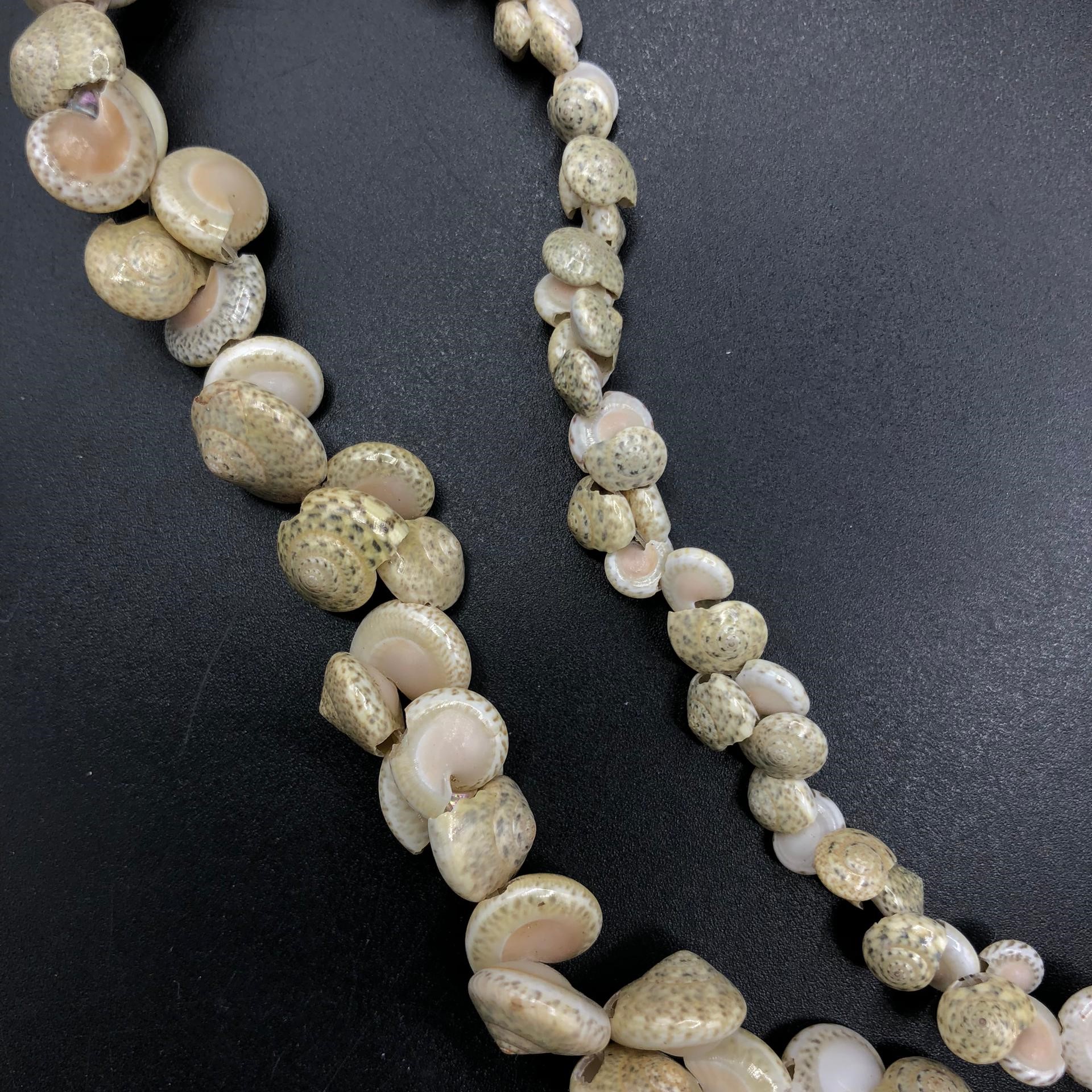 صدف ریسه ای