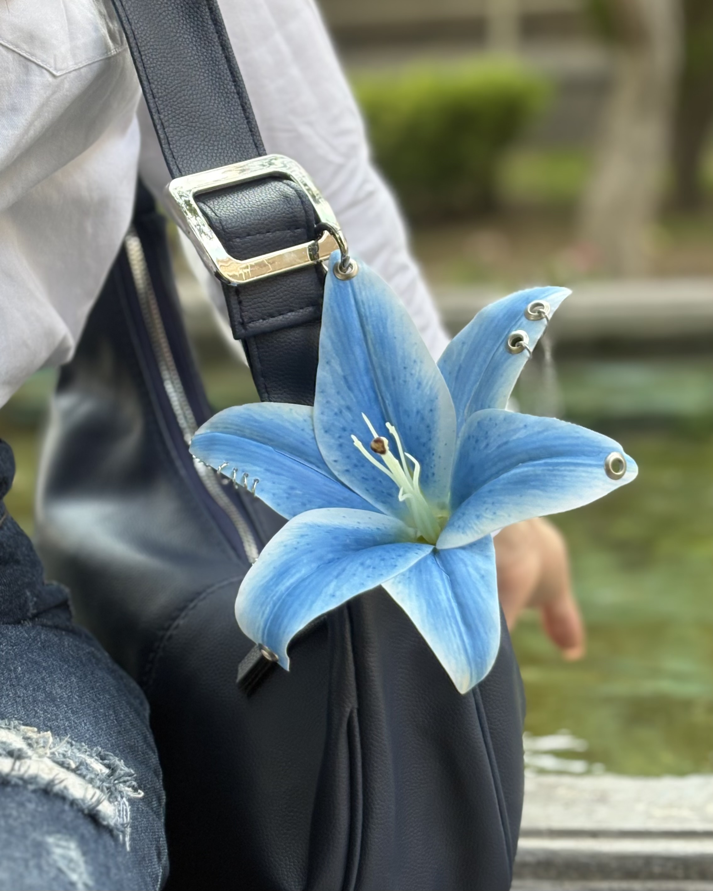 چارمبگ لیلیوم آبی